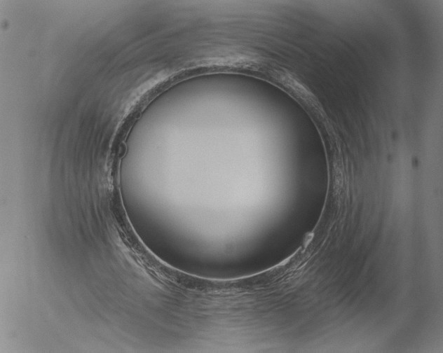 X0000056000628200509021705