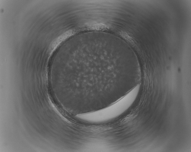 X0000056000630200509021705