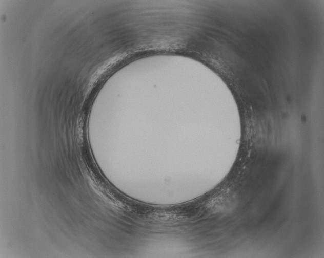 X0000056000632200509021705