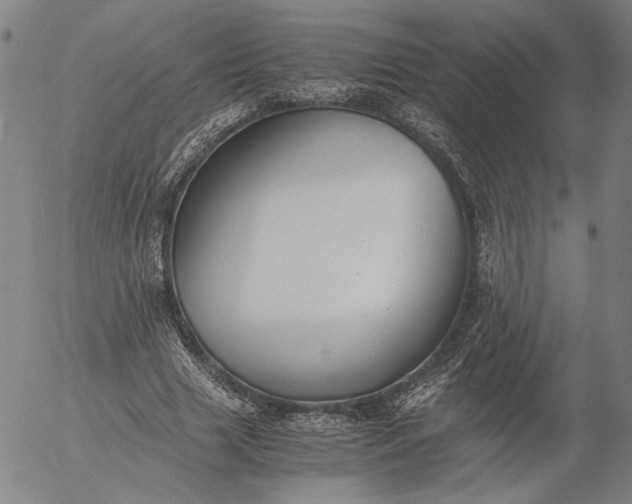 X0000056000633200509021705