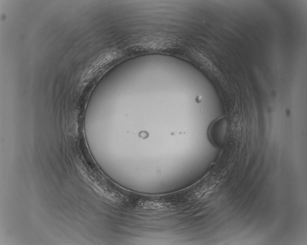 X0000056000635200509021705