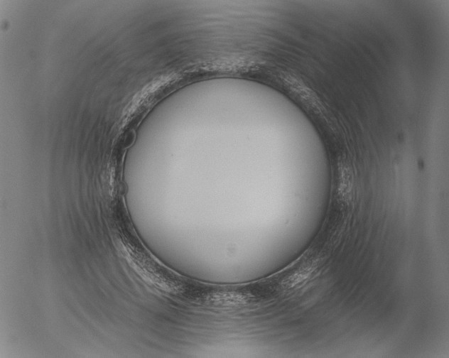 X0000056000636200509021705