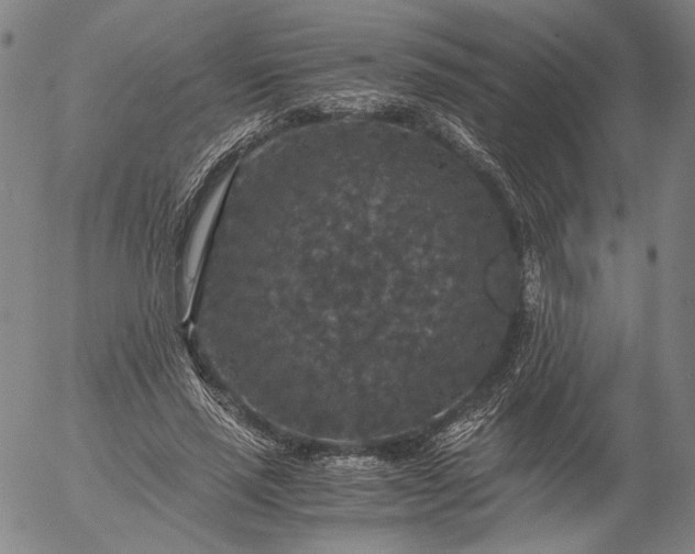 X0000056000637200509021705