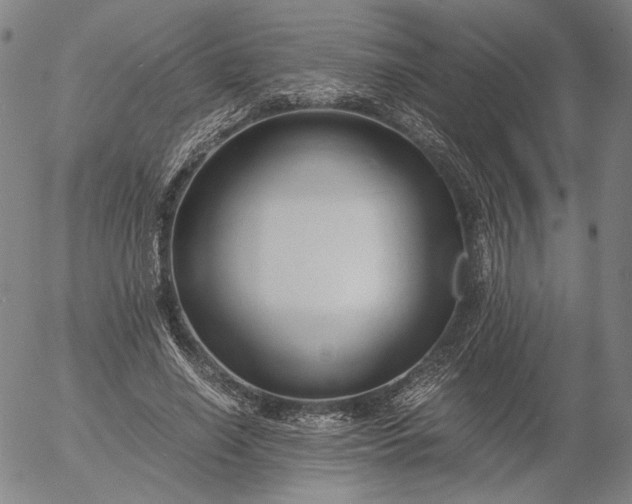 X0000056000638200509021705