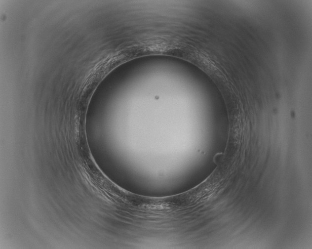 X0000056000639200509021705