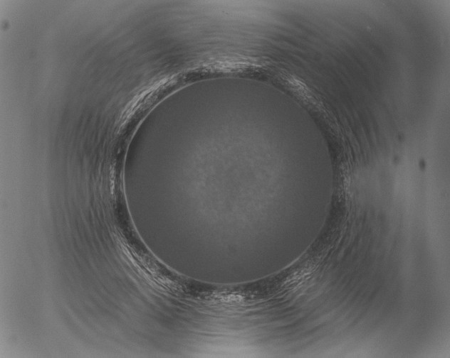 X0000056000640200509021705