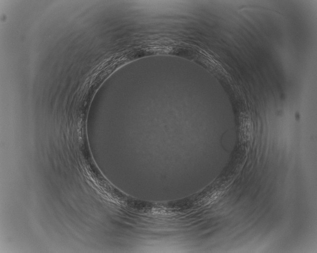 X0000056000641200509021705