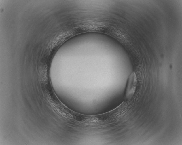 X0000056000642200509021705