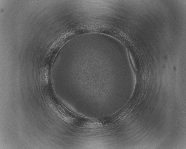 X0000056000644200509021705