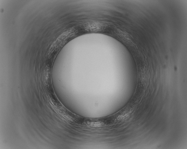 X0000056000645200509021705