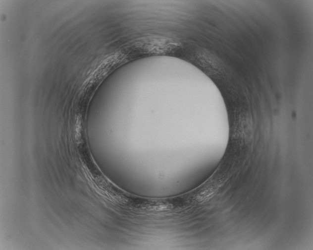 X0000056000646200509021705