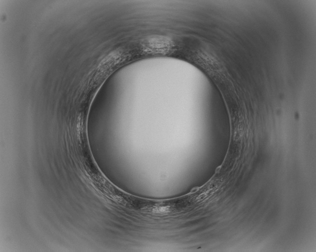 X0000056000647200509021705