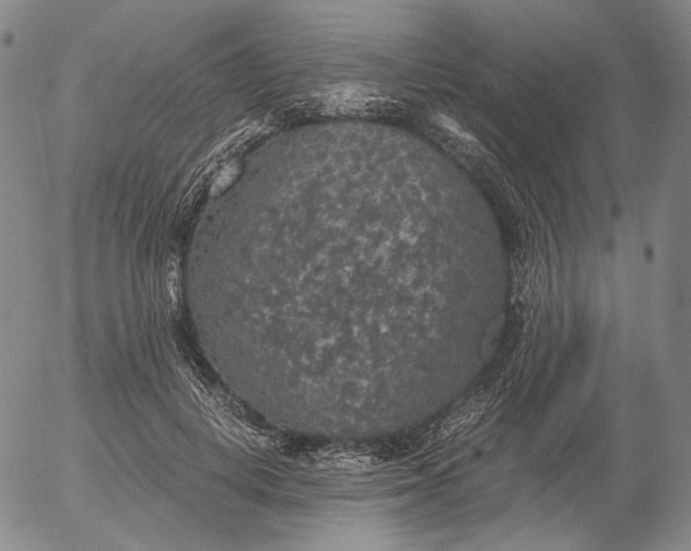 X0000056000648200509021705