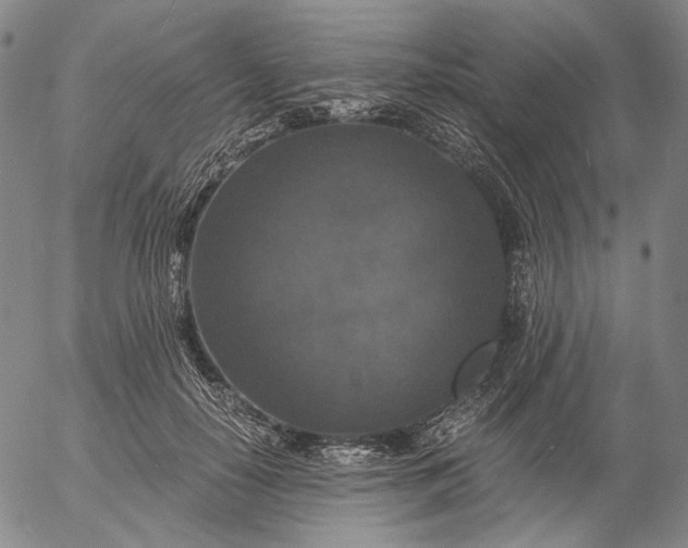 X0000056000650200509021705