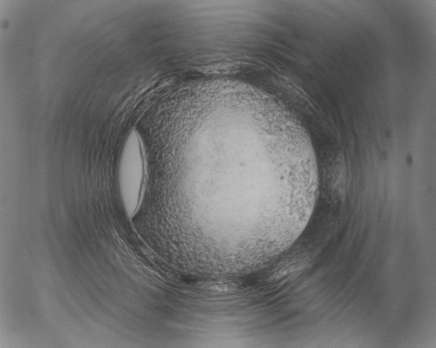 X0000056000652200509021705