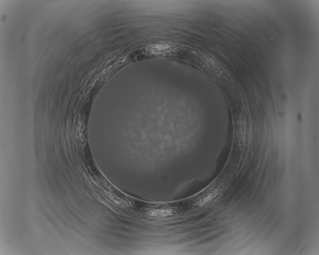 X0000056000653200509021705