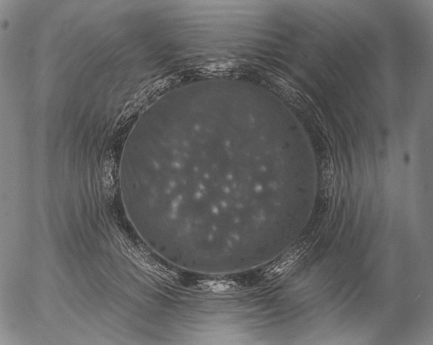 X0000056000654200509021705