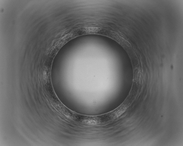 X0000056000655200509021705