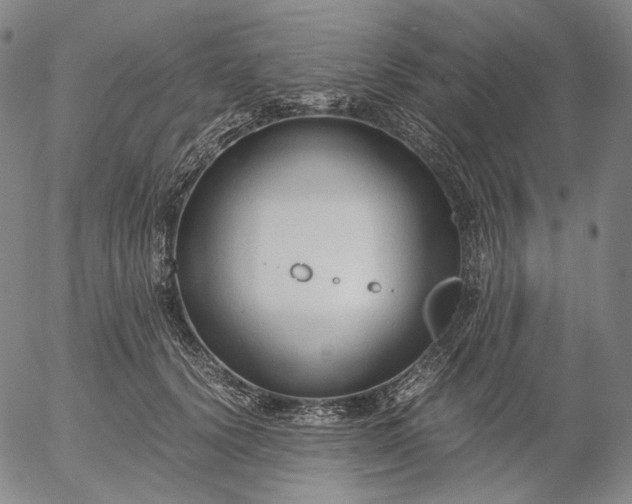 X0000056000656200509021705