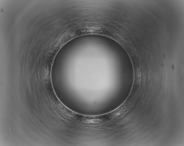 X0000056000657200509021705