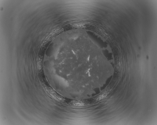 X0000056000658200509021705