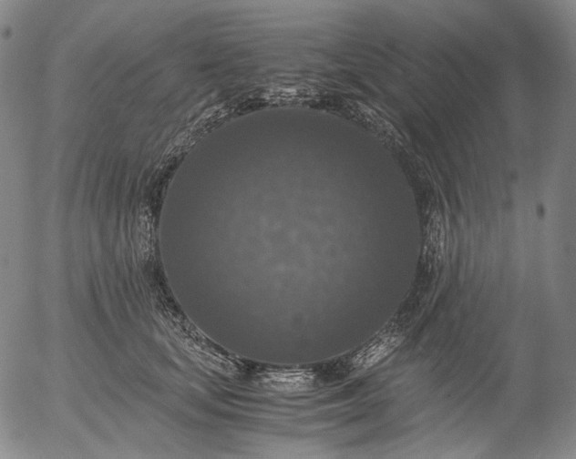 X0000056000659200509021705