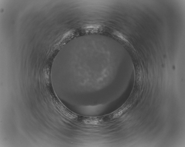 X0000056000661200509021705