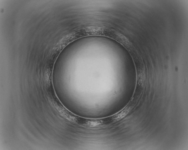 X0000056000662200509021705