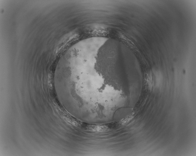 X0000056000663200509021705