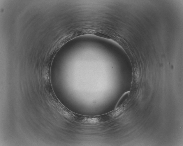 X0000056000665200509021705