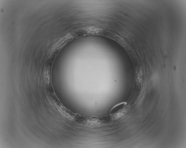 X0000056000666200509021705