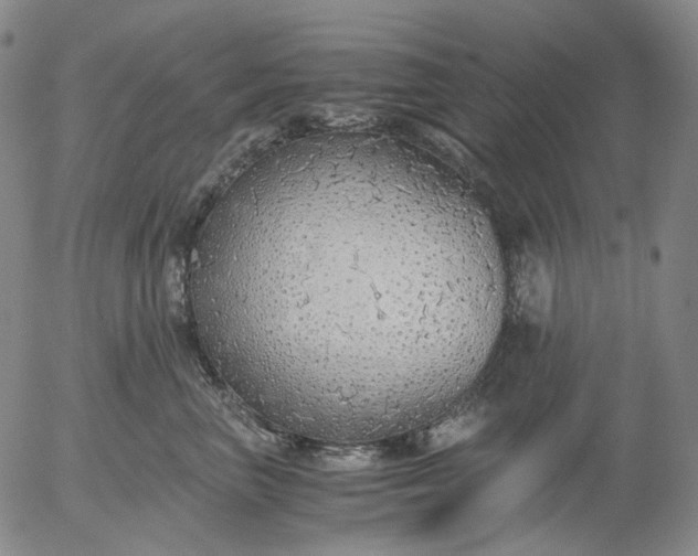 X0000056000667200509021705