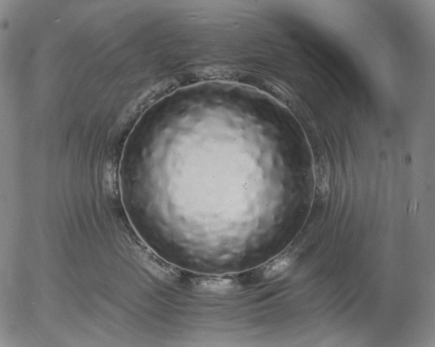 X0000056000669200509021705