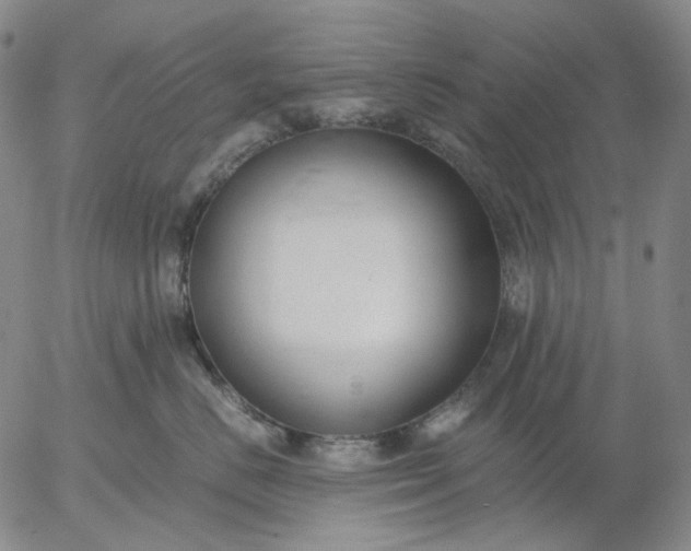 X0000056000670200509021705