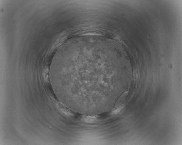 X0000056000671200509021705