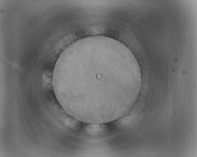 X0000056000672200509021705