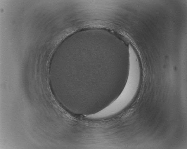 X0000056000673200509021705