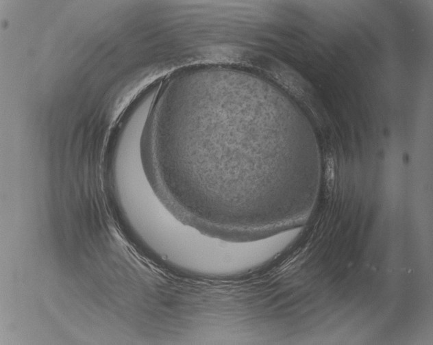 X0000056000676200509021705