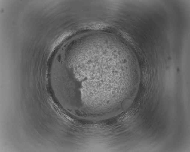 X0000056000679200509021704