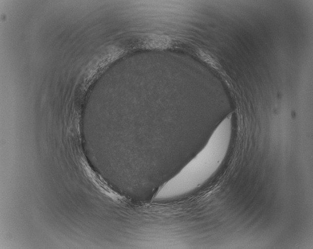 X0000056000681200509021704