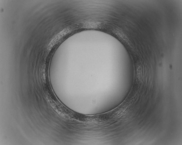 X0000056000682200509021704