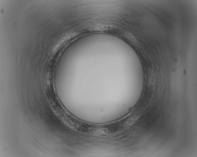 X0000056000683200509021704