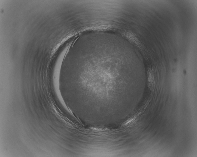 X0000056000684200509021704