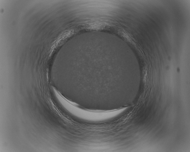 X0000056000685200509021704