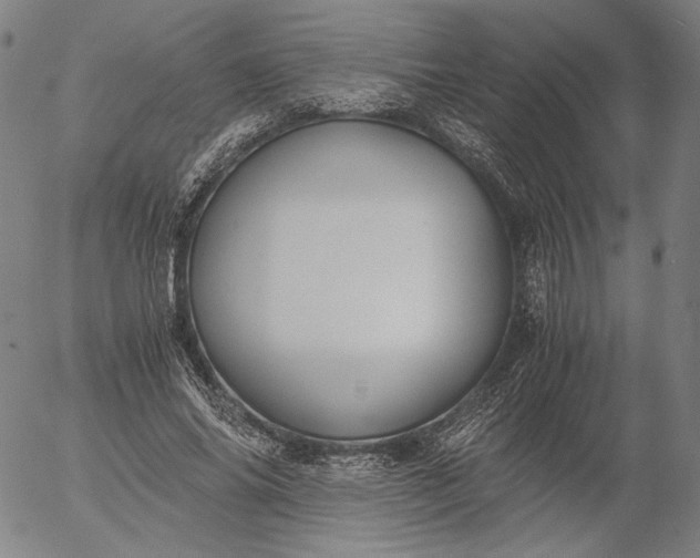 X0000056000686200509021704