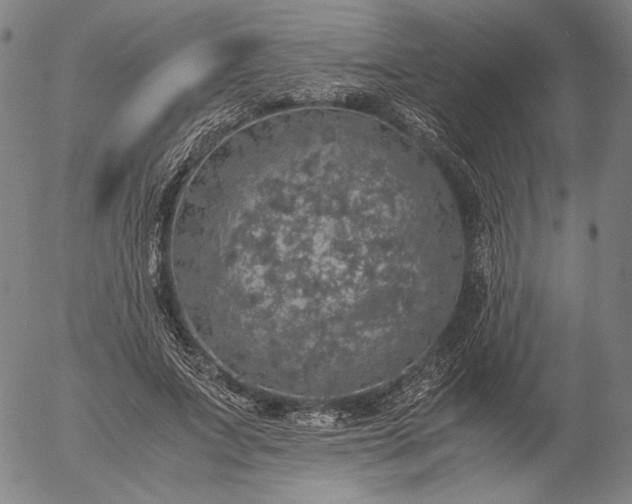 X0000056000687200509021704