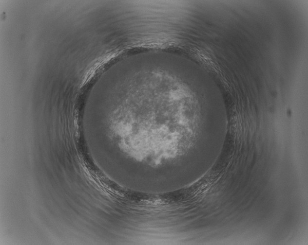 X0000056000688200509021704