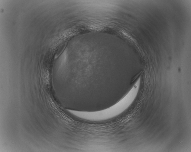 X0000056000689200509021704