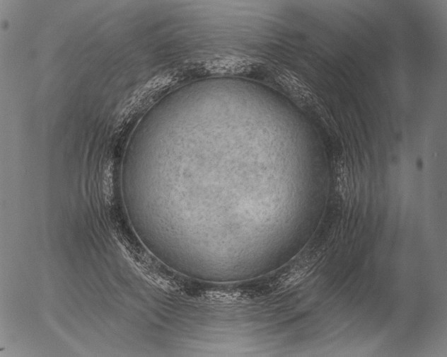 X0000056000690200509021704