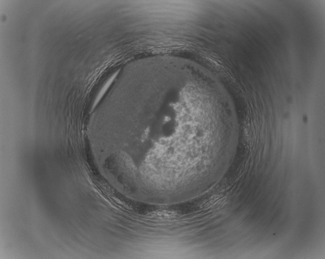 X0000056000691200509021704